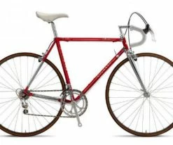 Colnago Arabesque Frameset 2023 -Selle SMP Shop 5699 3