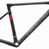 Cipollini DOLOMIA Frameset Disc, Fast Delivery 2 Cipollini DOLOMIA Frameset Disc, Fast Delivery -Selle SMP Shop 7803