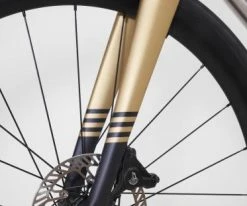 Passoni Titanio Classica Disc Brake, Frameset -Selle SMP Shop 7861 5