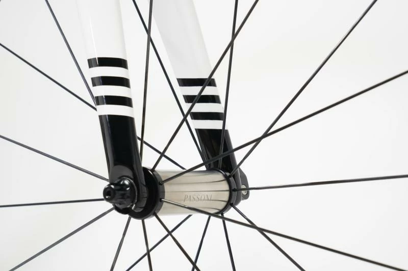 Passoni Titanio Rim Brake, Frameset 8 Passoni Titanio Rim Brake, Frameset - Image 6