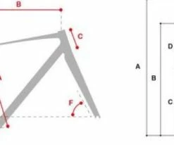 TiTiCi F-RI02 Disc Frameset -Selle SMP Shop 7883 5